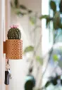 CactiKeys - The Blooming Wall Mounted Keyholder ext3.webp