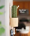SpiKey - The Cactus Wall Mounted Keyholder